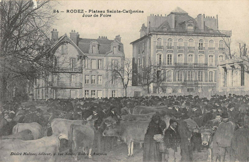 Carte postale ancienne Rodez Plateau Sainte Catherine Jour De Foire à Rodez