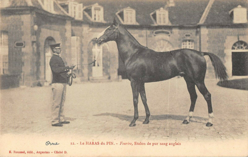 Carte postale ancienne Le Haras Du Pin Fourire Etalon De Pur Sang Anglais à Ri