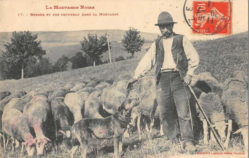 Carte postale ancienne La Montagne Noire Berger Et Son Troupeau Dans La Montagne