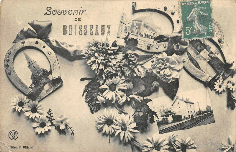 Carte postale ancienne Souvenir De Boisseaux à Boisseaux