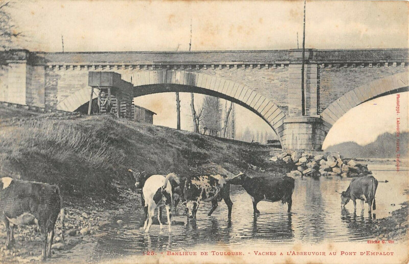 Carte postale ancienne Banlieue De Toulouse Vaches A L'Abreuvoir Au Pont D'Empalot à Toulouse