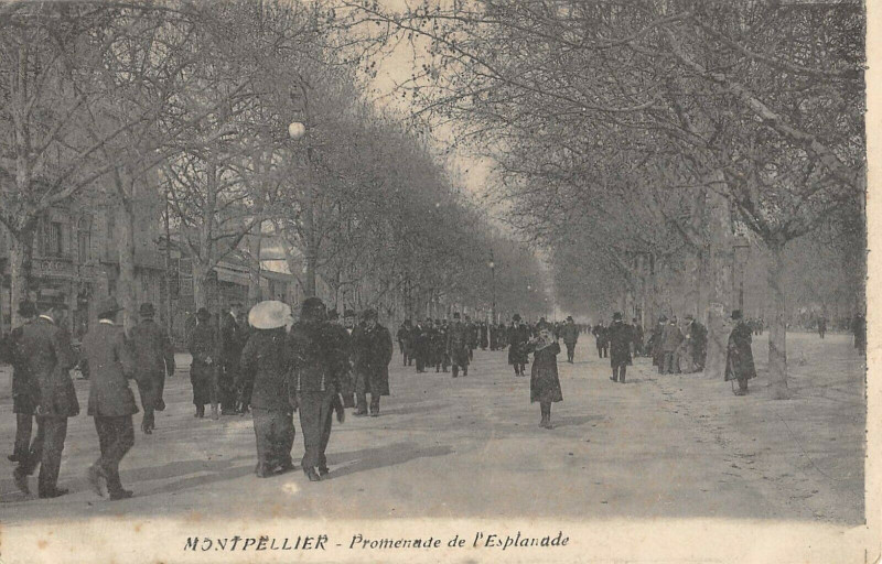 Carte postale ancienne Montpellier Promenade De L'Esplanade à Montpellier