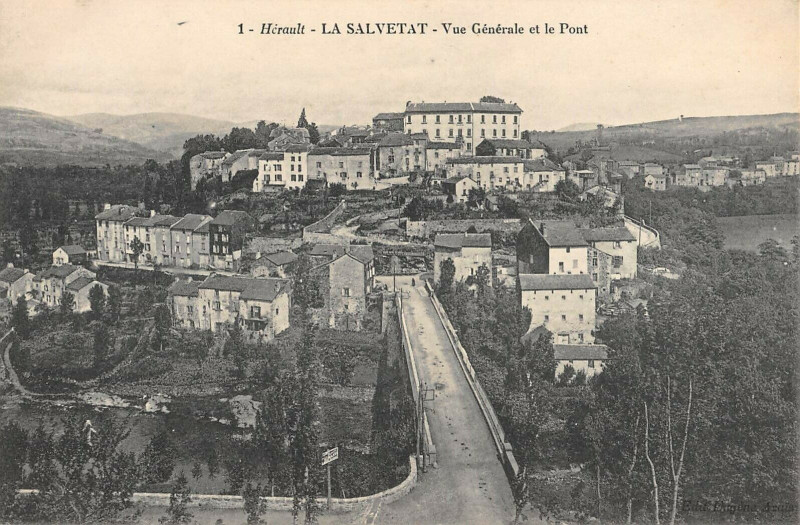 Carte postale ancienne La Salvetat Vue Generale Et Le Pont