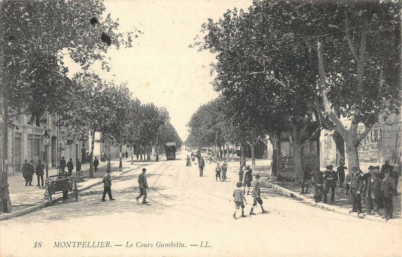 Carte postale ancienne Montpllier Le Cours Gambetta