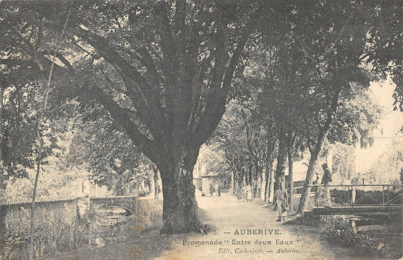 Carte postale ancienne Auberive Promenade Entre Deux Eaux à Auberive