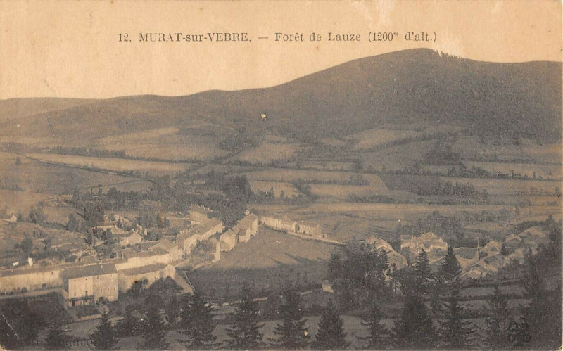 Carte postale ancienne Murat Sur Vebre Foret De Lauze