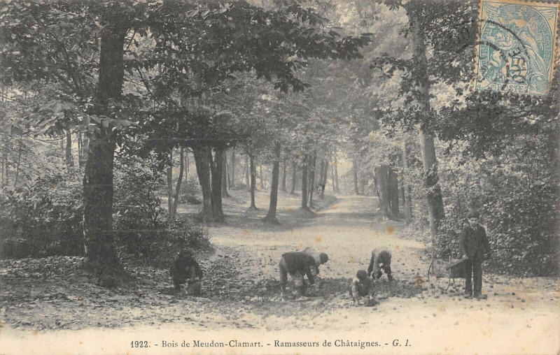 Carte postale ancienne Bois De Meudon Clamart Ramasseurs De Chataignes à Meudon