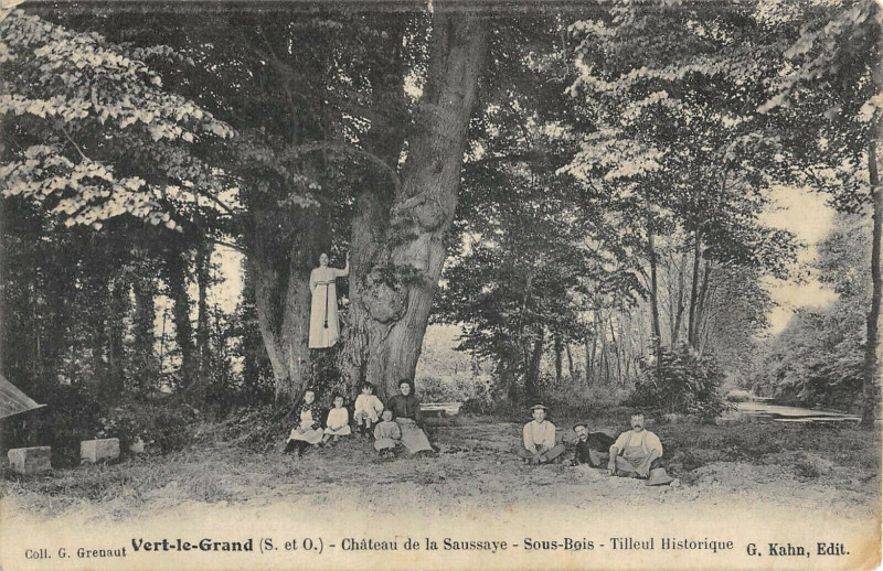 Carte postale ancienne Vert Le Grand Chateau De La Saussaye Sous Bois Tilleul Historique à Vert-le-Grand