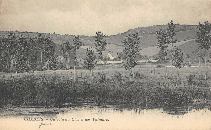 Carte postale ancienne Chablis Un Coin Du Clos Et Des Valmurs à Chablis