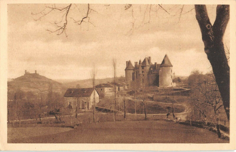 Carte postale ancienne Le Chateau De Montal