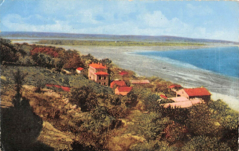 Carte postale ancienne La Franqui Plage Vue Panoramique Prise De La Falaise