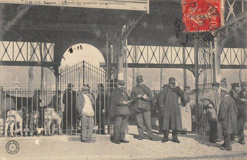 Carte postale ancienne Tours Entree Du Marche Aux Bestiaux à Tours