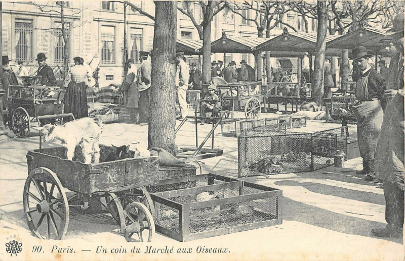 Carte postale ancienne Paris Un Coin Du Marche Aux Oiseaux à Paris