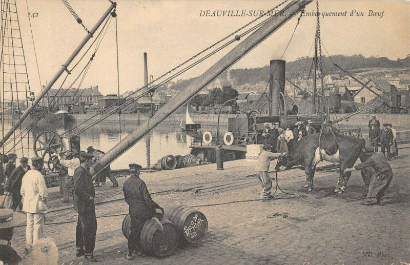 Carte postale ancienne Deauville Sur Mer Embarquement D'Un Boeuf à Deauville