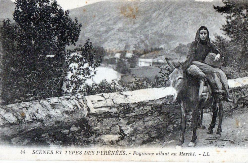 Carte postale ancienne Scenes Et Types Des Pyrenees - Paysanne allant au marché - ( Gros Plan