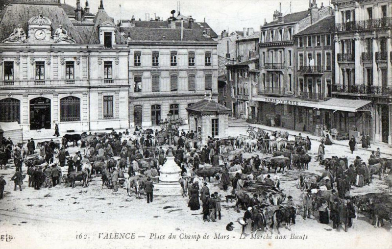 Carte postale ancienne Valence Place Du Champ De Mars Le Marche Aux Boeufs (Cpa Animee à Valence