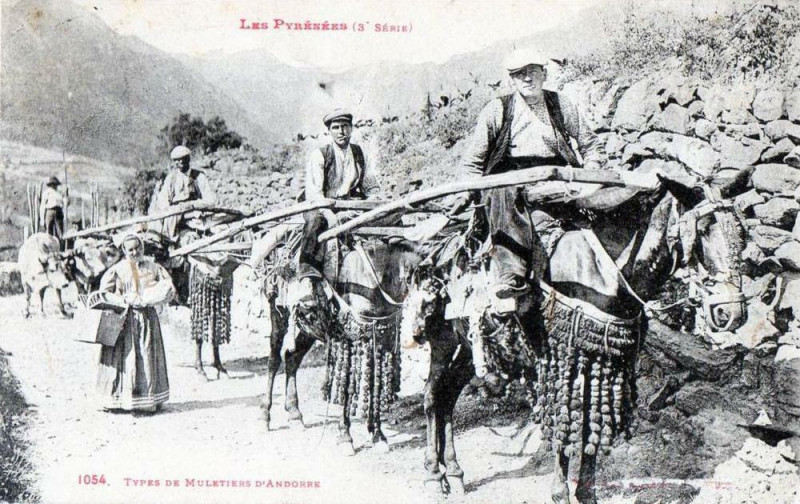 Carte postale ancienne Types de Muletiers d'Andorre