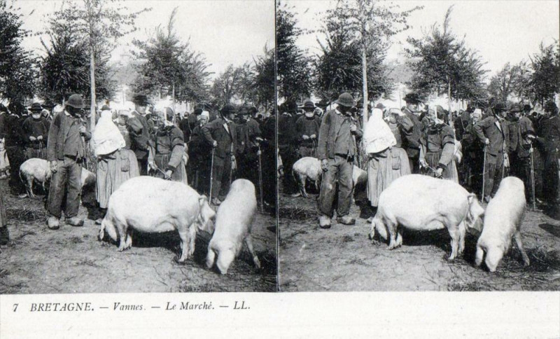 Carte postale ancienne Vannes Le Marche (Gros Plan Belle Cpa à Vannes