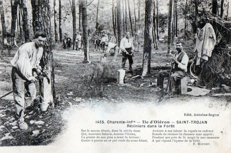 Carte postale ancienne Saint Trojan Ile Oleron Resiniers Dans La Foret (Vieux Metiers