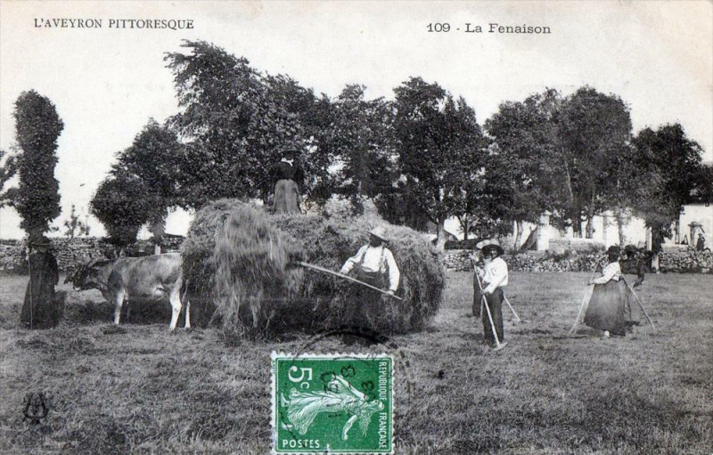 Carte postale ancienne L'Aveyron Pittoresque La Fenaison (Superbe Cpa Agriculture