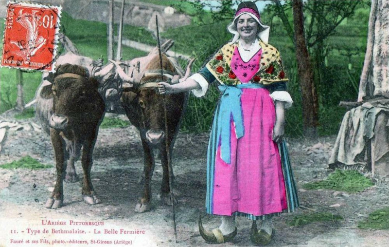 Carte postale ancienne Type de Bethmalaise la Belle Fermière (Attelage En Gros Plan