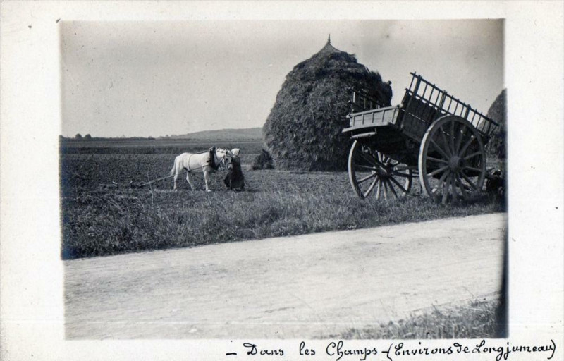 Carte postale ancienne Carte Photo Environs De Longjumeau Dans Les Champs (Superbe Cliche Scene à Longjumeau