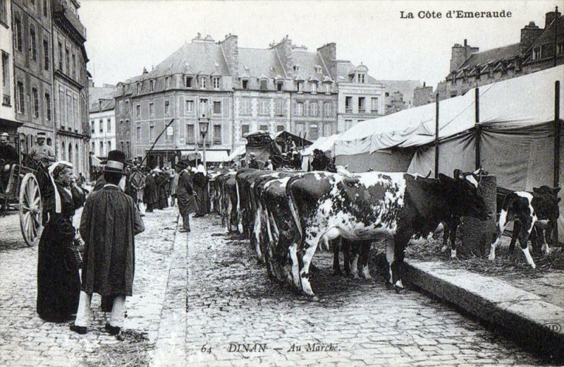 Carte postale ancienne Dinan Au Marche (Belle Animation à Dinan