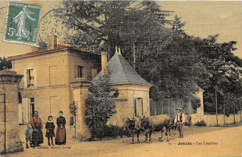 Carte postale ancienne Jonzac Les Lauriers (attelage de boeufs cpa toilée émaillée à Jonzac