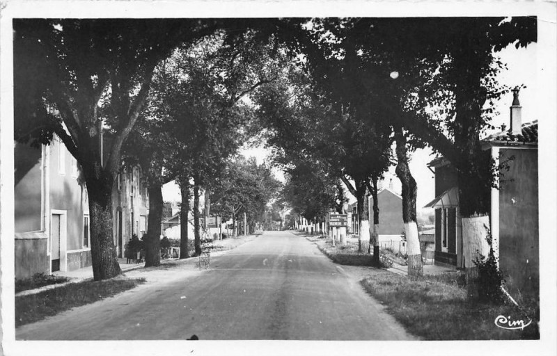Carte postale ancienne Castillonnes Avenue Des Pyrenees à Castillonnès