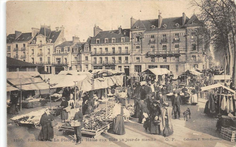 Carte postale ancienne Rennes La Place De La Halle Aux Bles Un Jour De Marche (belle cpa à Rennes