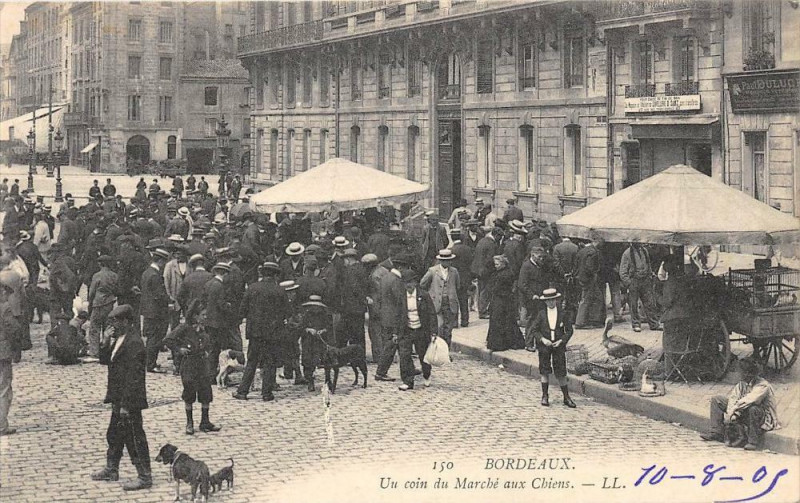 Carte postale ancienne Bordeaux Un Coin Du Marche Aux Chiens (dos non divisé) à Bordeaux