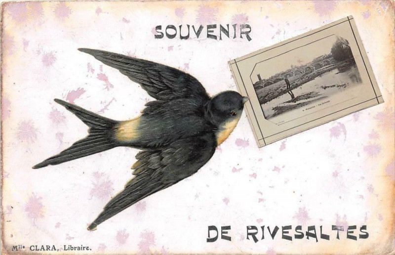 Carte postale ancienne Souvenir De Rivesaltes (cpa avec une hirondelle et une vue de Rivesaltes à Rivesaltes