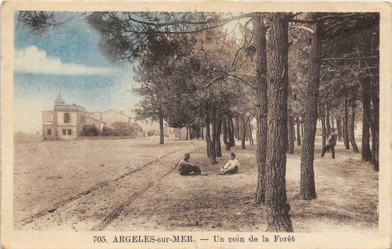 Carte postale ancienne Argeles Sur Mer Un Coin De La Foret à Ur