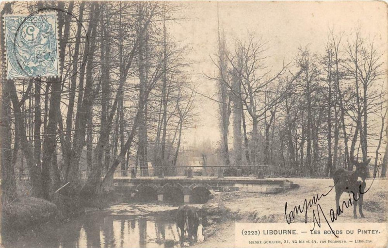 Carte postale ancienne Libourne Les Bords Du Pintey (dos non divisé) à Libourne