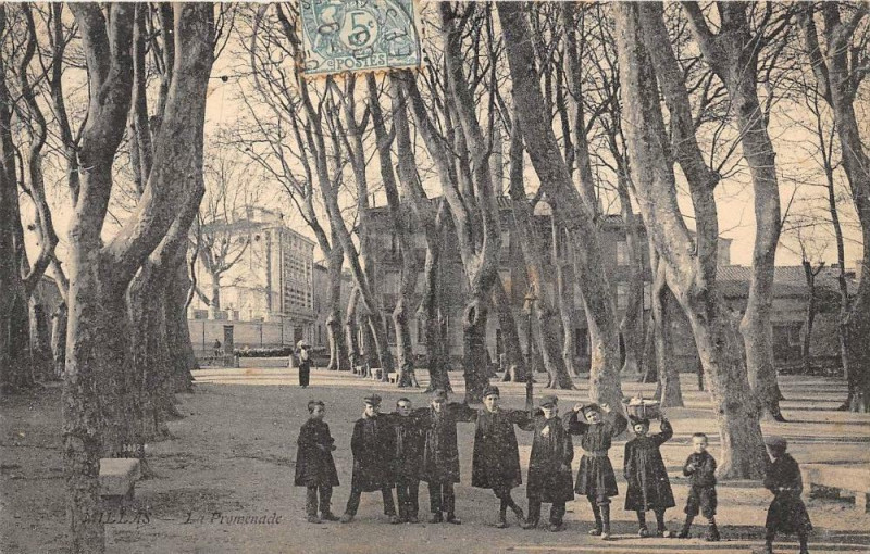 Carte postale ancienne Millas La Promenade à Millas
