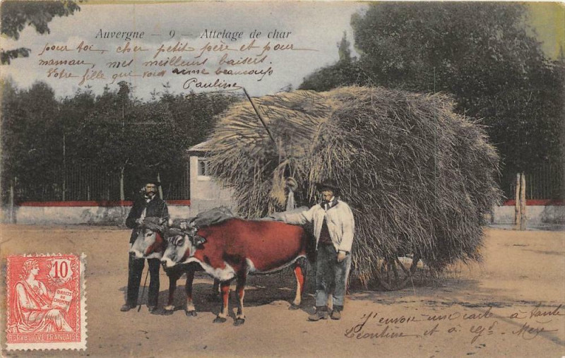 Carte postale ancienne Auvergne Attelage De Char