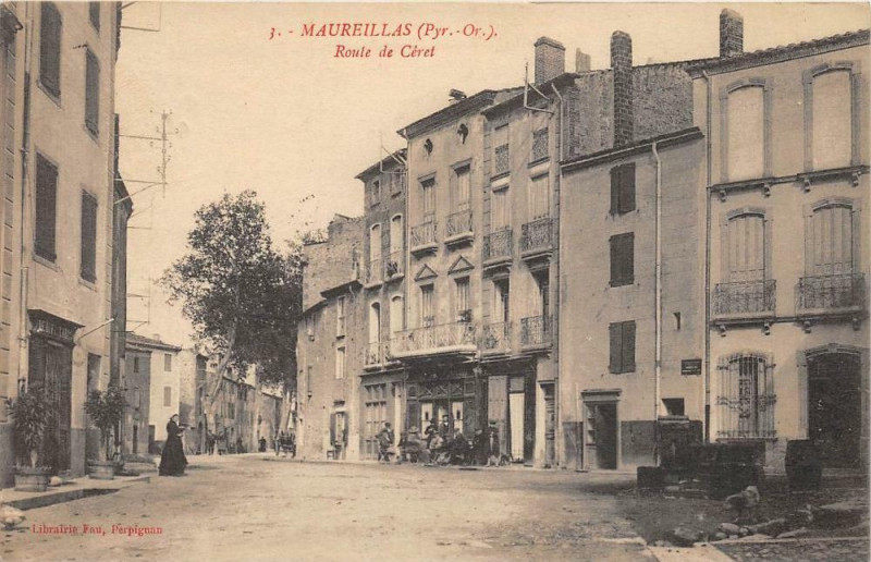 Carte postale ancienne Maureillas Route De Ceret à Céret
