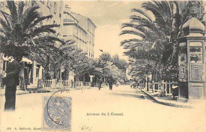 Carte postale ancienne 20 Corse Ajaccio Avenue Du 1ER Consul (dos non divisé) à Ajaccio