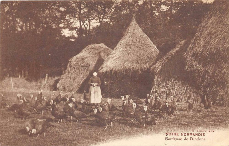 Carte postale ancienne Notre Normandie Gardeuse De Dindons