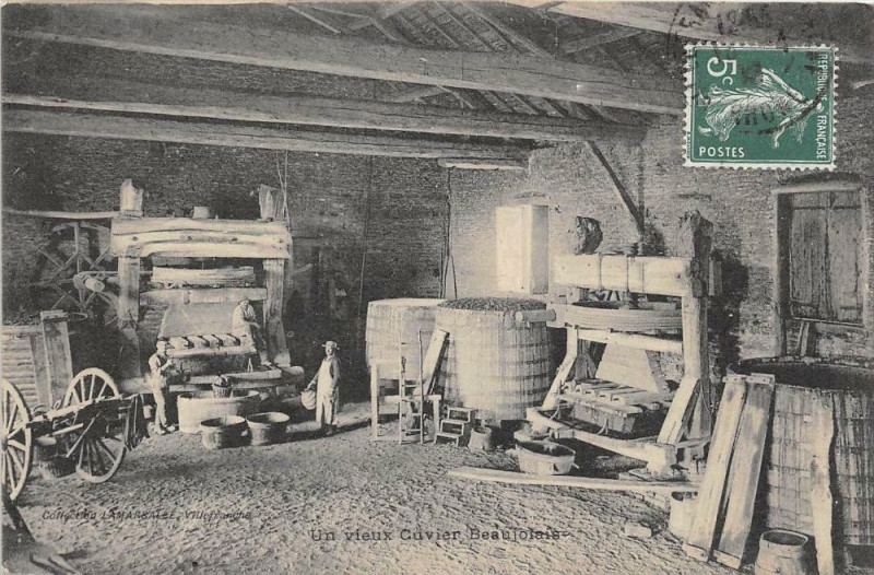Carte postale ancienne Un Vieux Cuvier Beaujolais