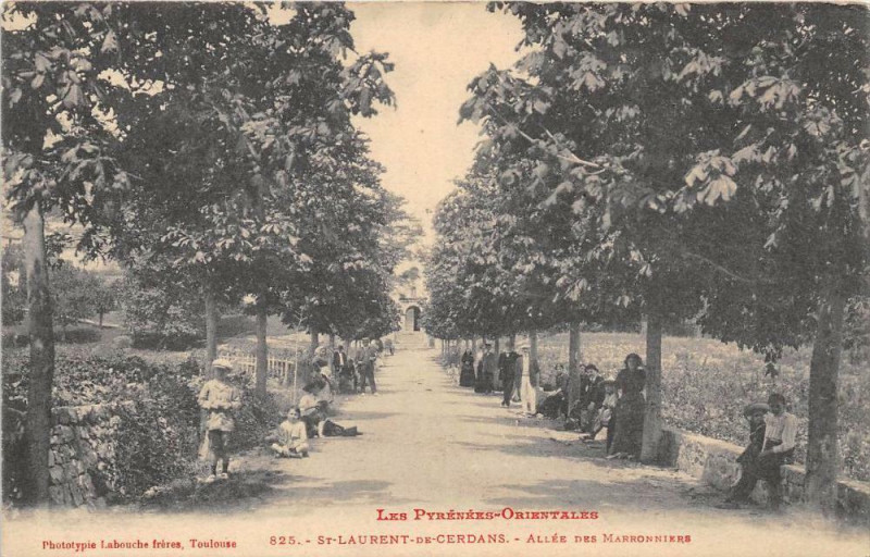 Carte postale ancienne Saint Laurent De Cerdans Allee Des Marronniers à Saint-Laurent-de-Cerdans