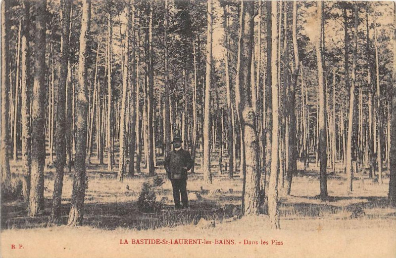 Carte postale ancienne La Bastide Saint Laurent Les Bains Dans Les Pins (cliché pas courant