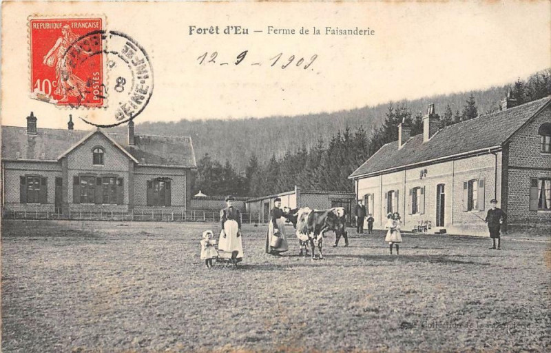 Carte postale ancienne Forêt d'Eu - Ferme de la Faisanderie à Incheville
