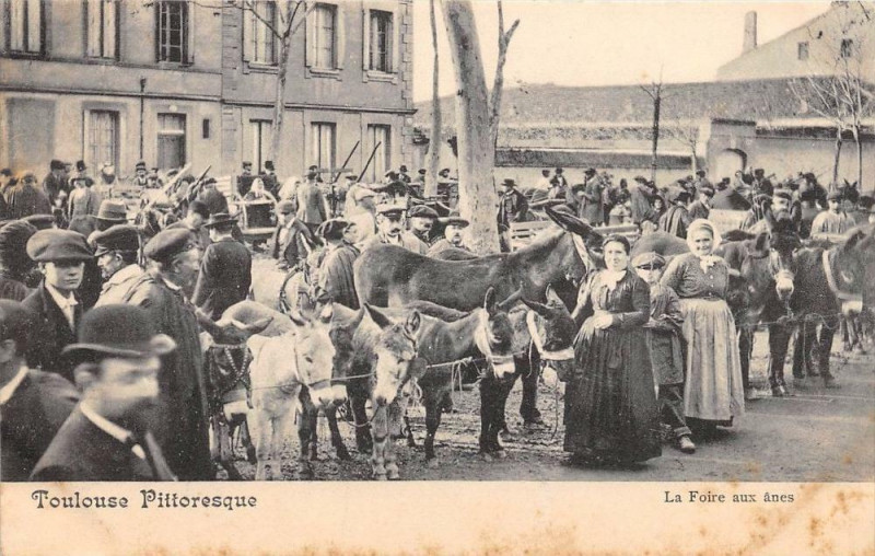 Carte postale ancienne Toulouse Pittoresque La Foire Aux Anes (dos non divisé) Vieux Metier à Toulouse