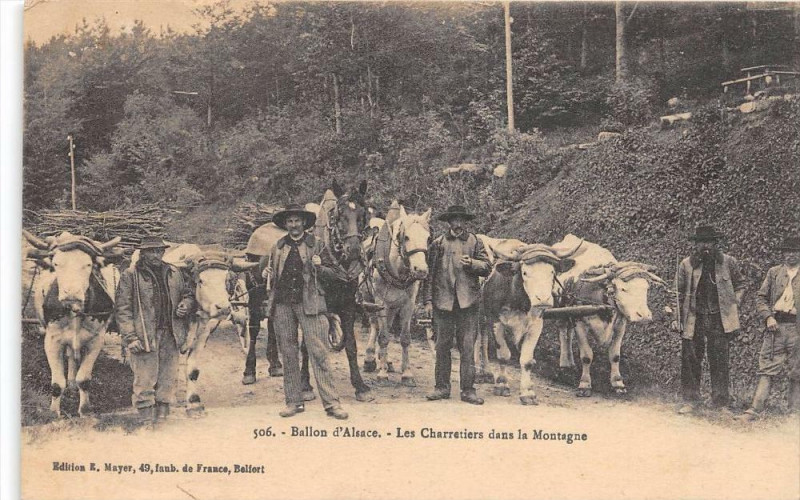Carte postale ancienne Les Charretiers Dans La Montagne (Attelages Gros Plan