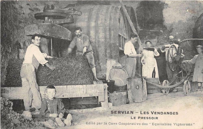 Carte postale ancienne Servian Les Vendanges Le Pressoir à Servian