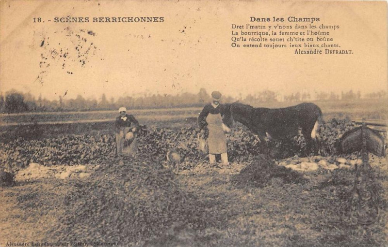 Carte postale ancienne Scenes Berrichonnes Dans Les Champs