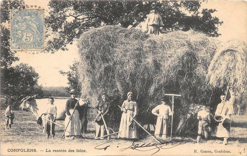 Carte postale ancienne Confolens La Rentree Des Foins (cpa agriculture superbe! à Confolens