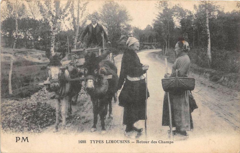 Carte postale ancienne Types Limousins Retour Des Champs