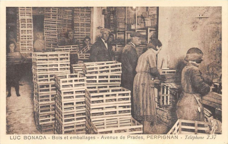 Carte postale ancienne Perpignan Luc Bonada Bois Et Emballages Avenue De Prades A Perpignan ( Co à Perpignan